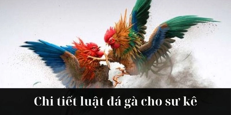 luật đá gà tại 88clb